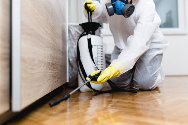 Best Pest Inspection Near Me  in Little Rock, AR