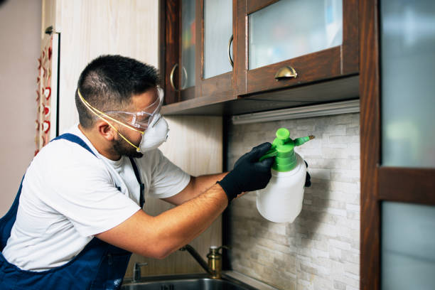  Little Rock, AR Pest Control Pros