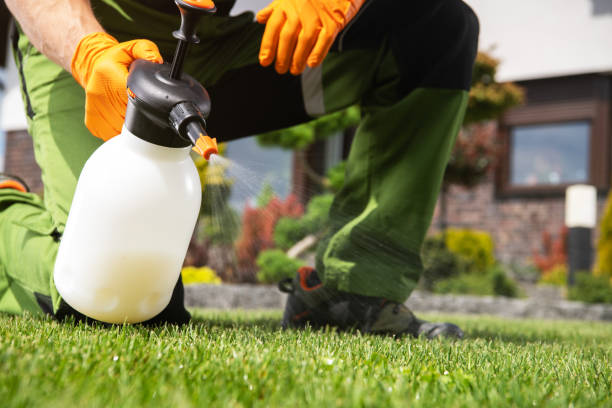 Best Insect Control  in Little Rock, AR