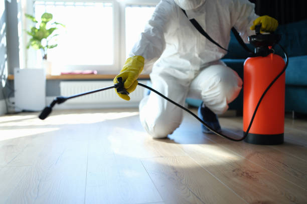 Best Best Pest Control Companies  in Little Rock, AR