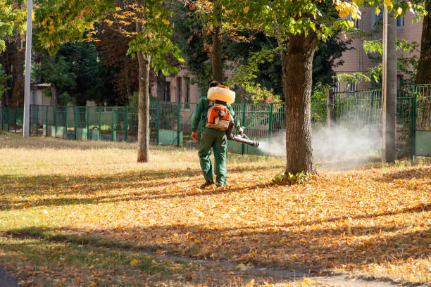 Best Bird Control  in Little Rock, AR